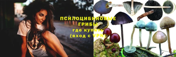 мяу мяу мука Орск