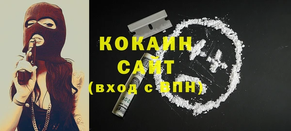 гашик Майский