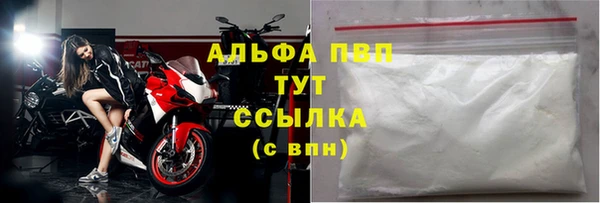 гашик Майский