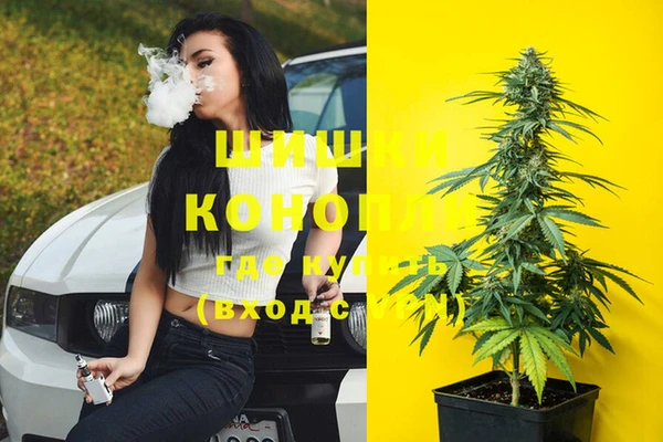 мдпв Магас