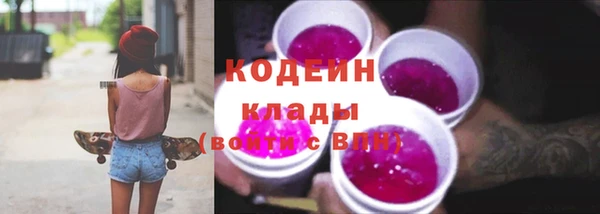 гашик Майский