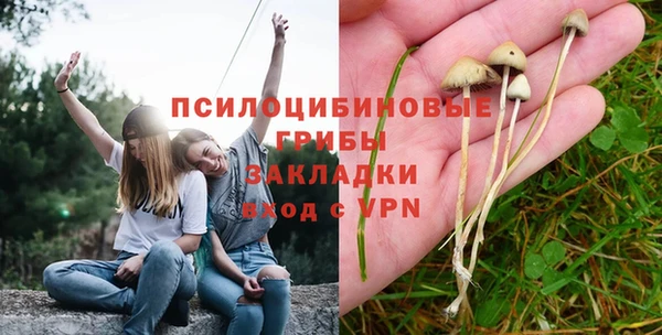 гашик Майский