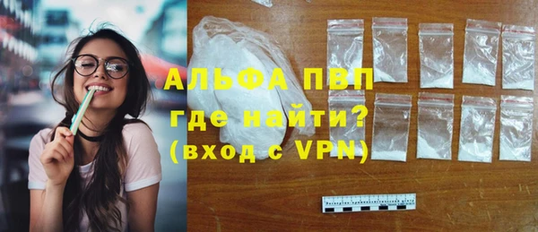 мдпв Магас