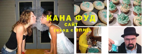 мдпв Магас