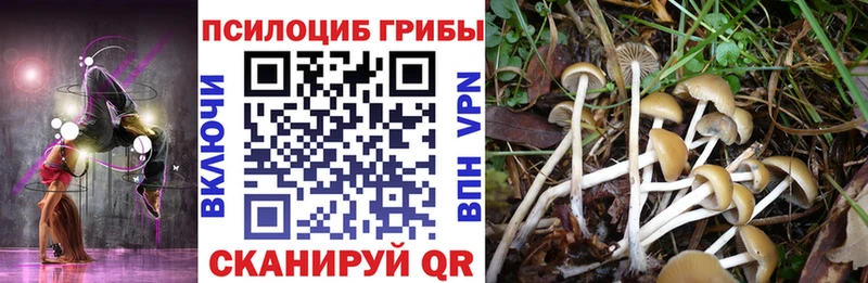 Псилоцибиновые грибы MAGIC MUSHROOMS  Урюпинск 