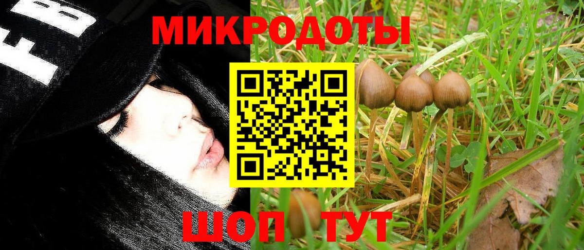 Псилоцибиновые грибы прущие грибы Урюпинск